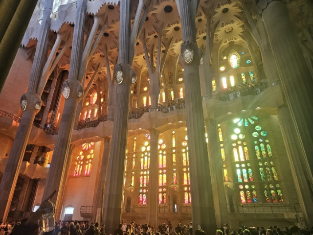 20260223_153556.jpg